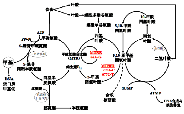 suncitygroup太阳集团·(中国)首页登录