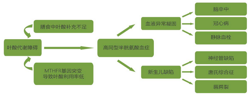 suncitygroup太阳集团·(中国)首页登录