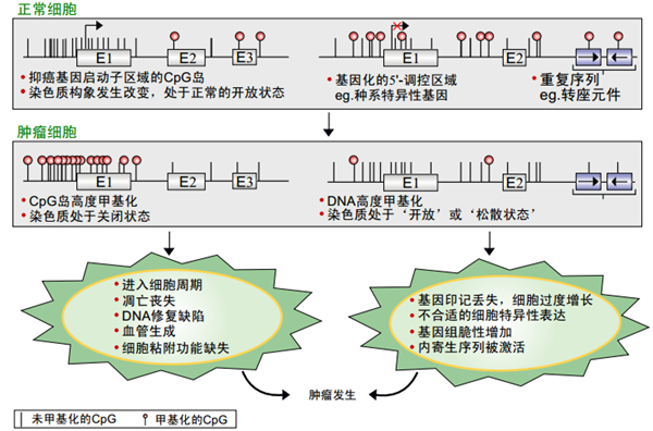 suncitygroup太阳集团·(中国)首页登录