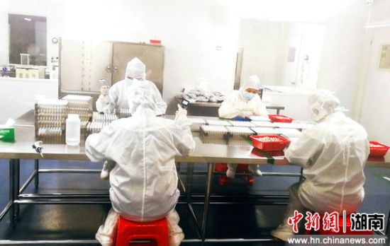 suncitygroup太阳集团·(中国)首页登录