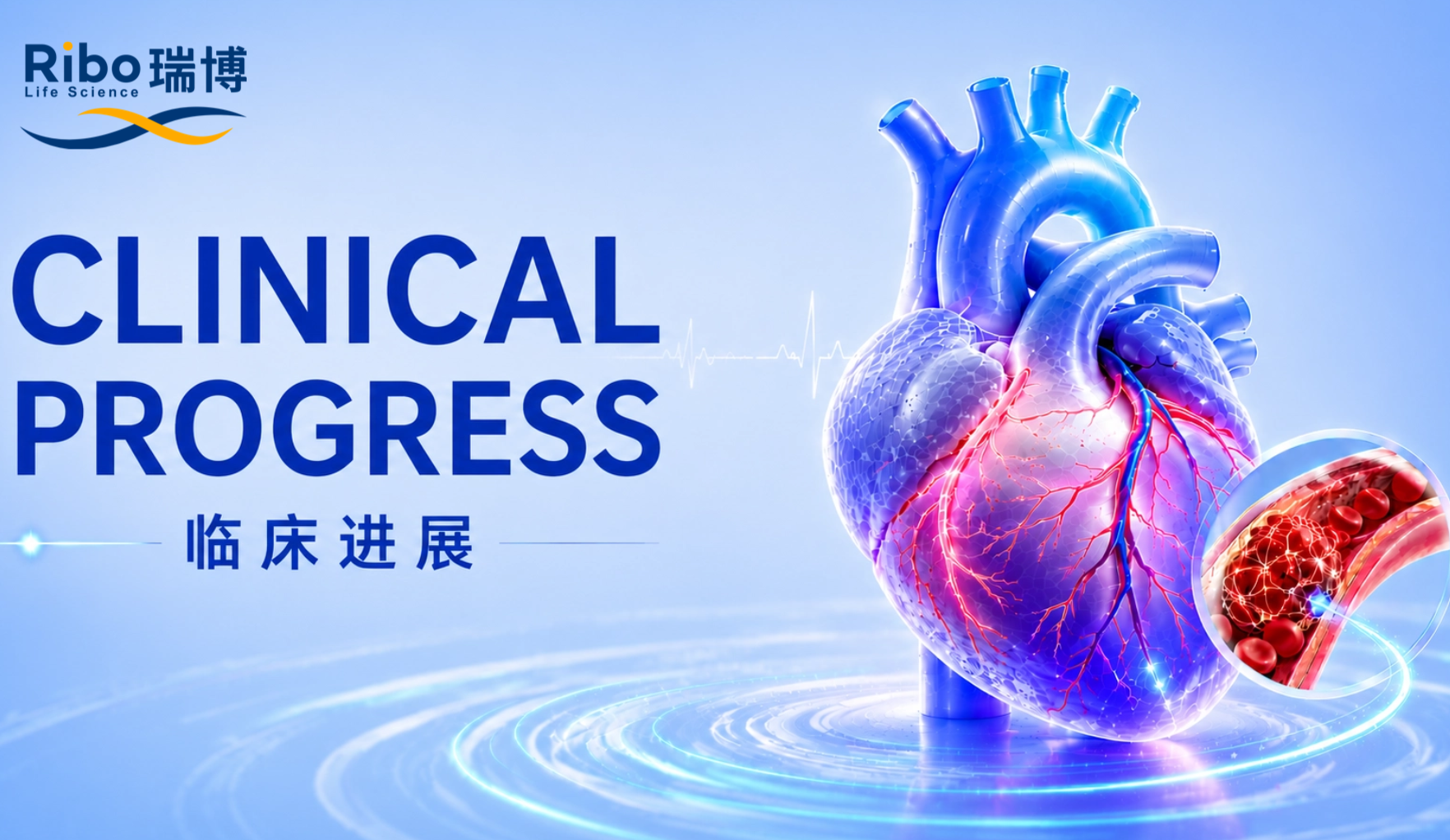 未定名(1)(5) (3).png