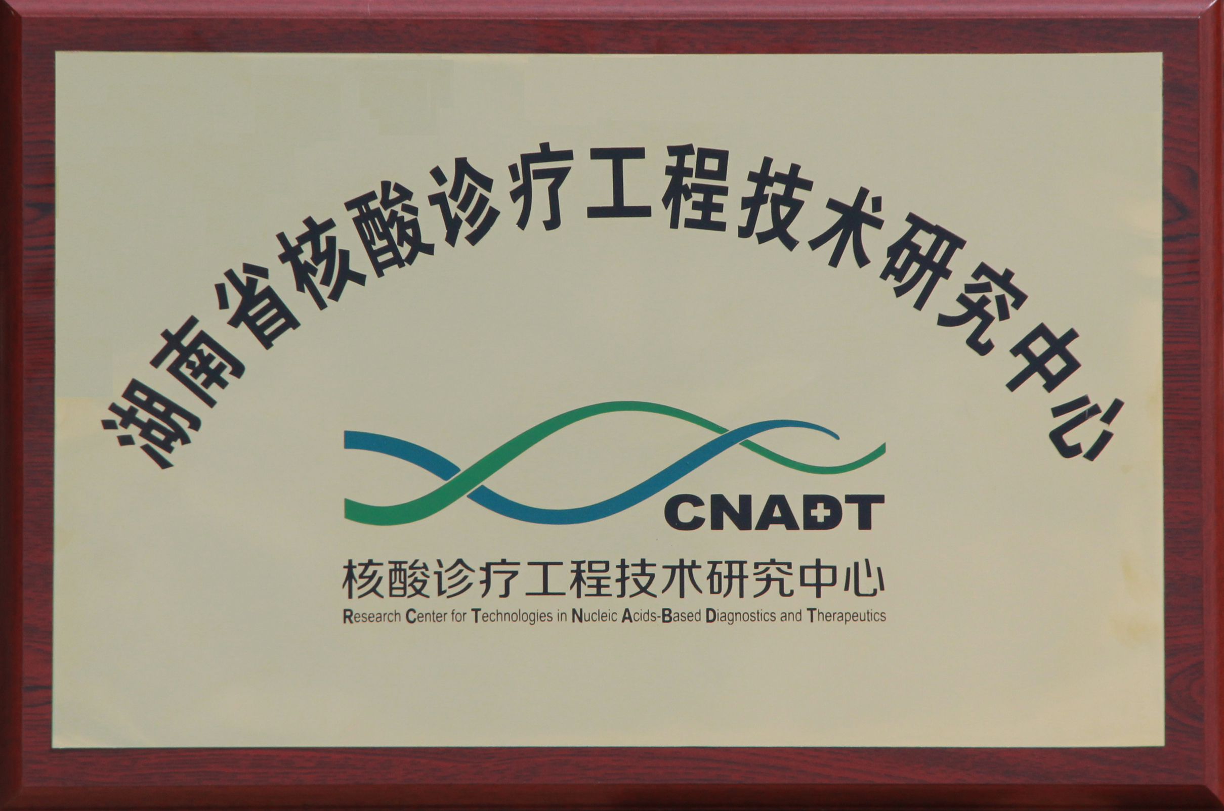 suncitygroup太阳集团生物 （688289）— 生命科技普惠者