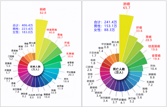 suncitygroup太阳集团·(中国)首页登录